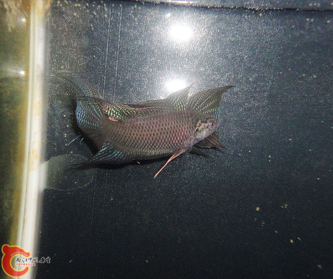 DSC08836.JPG