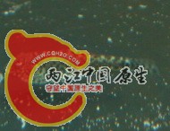 DSC05805.jpg