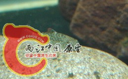 DSC05802.jpg