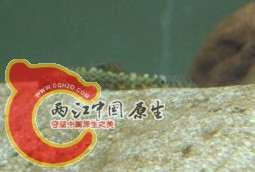 DSC05810.jpg