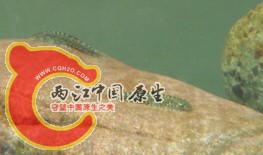 DSC05812.jpg