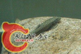 DSC05813.jpg