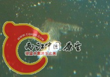 DSC05816.jpg