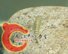 DSC05818.jpg