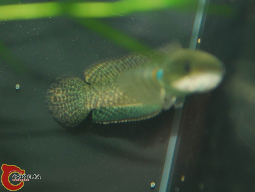 DSC_0567.jpg