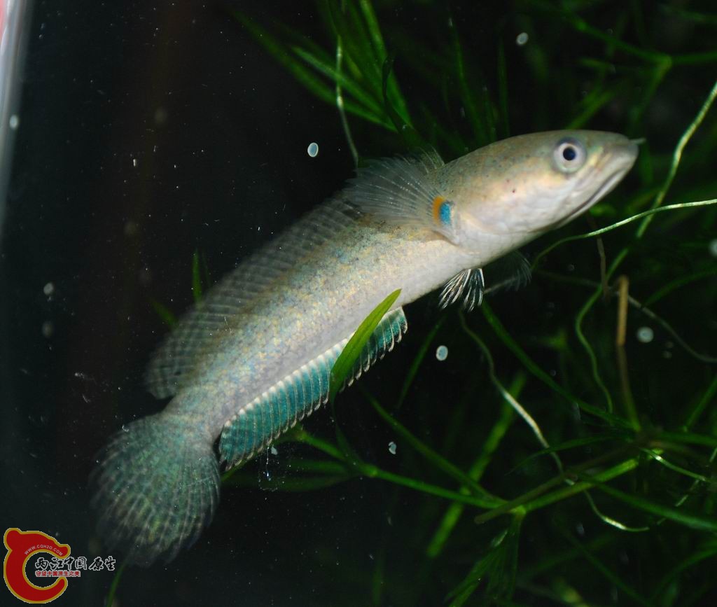 DSC_0537.jpg