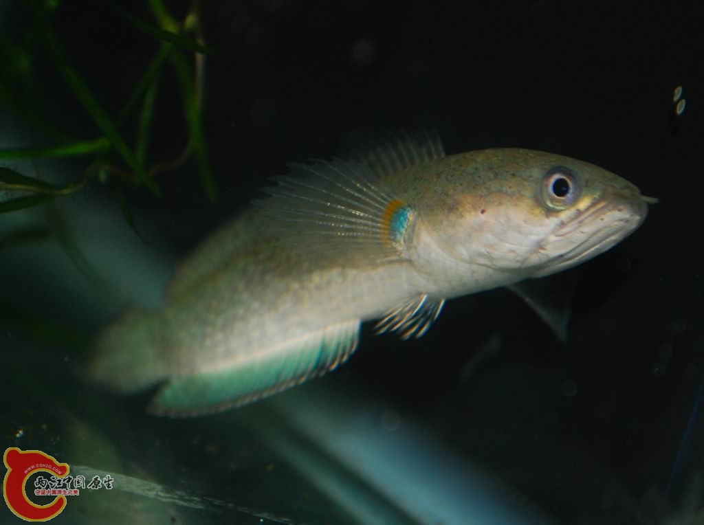 DSC_0552.jpg