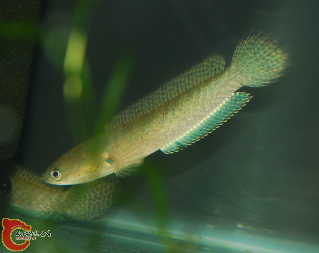 DSC_0562.jpg