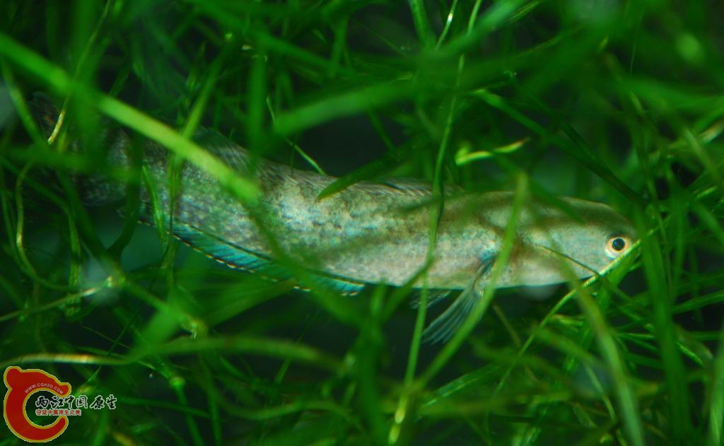 DSC_0563.jpg