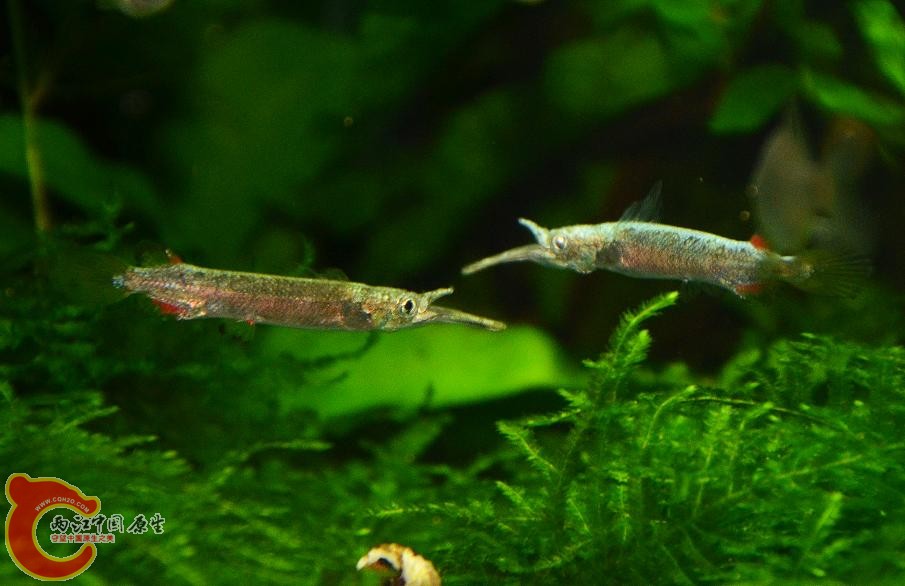 DSC_4834.JPG