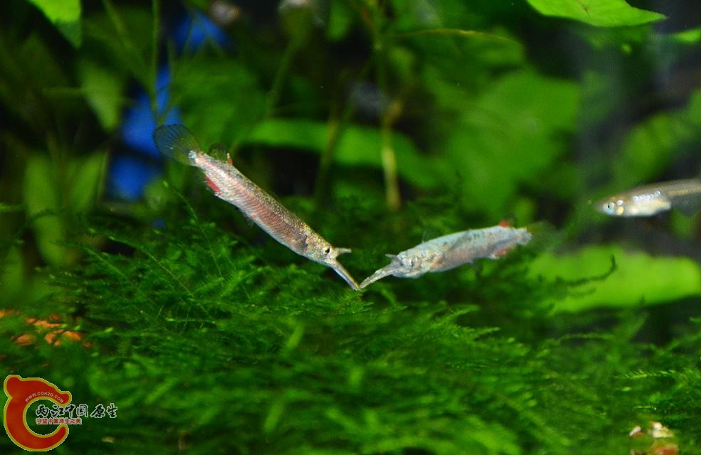 DSC_4838.JPG