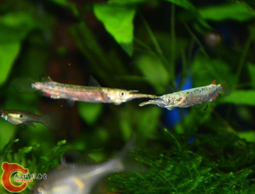 DSC_4843.JPG