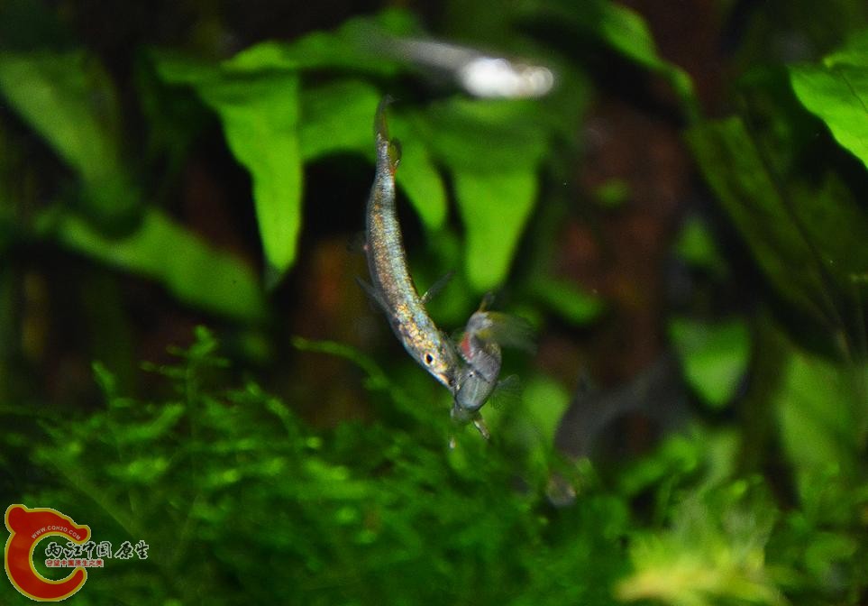 DSC_4845.JPG