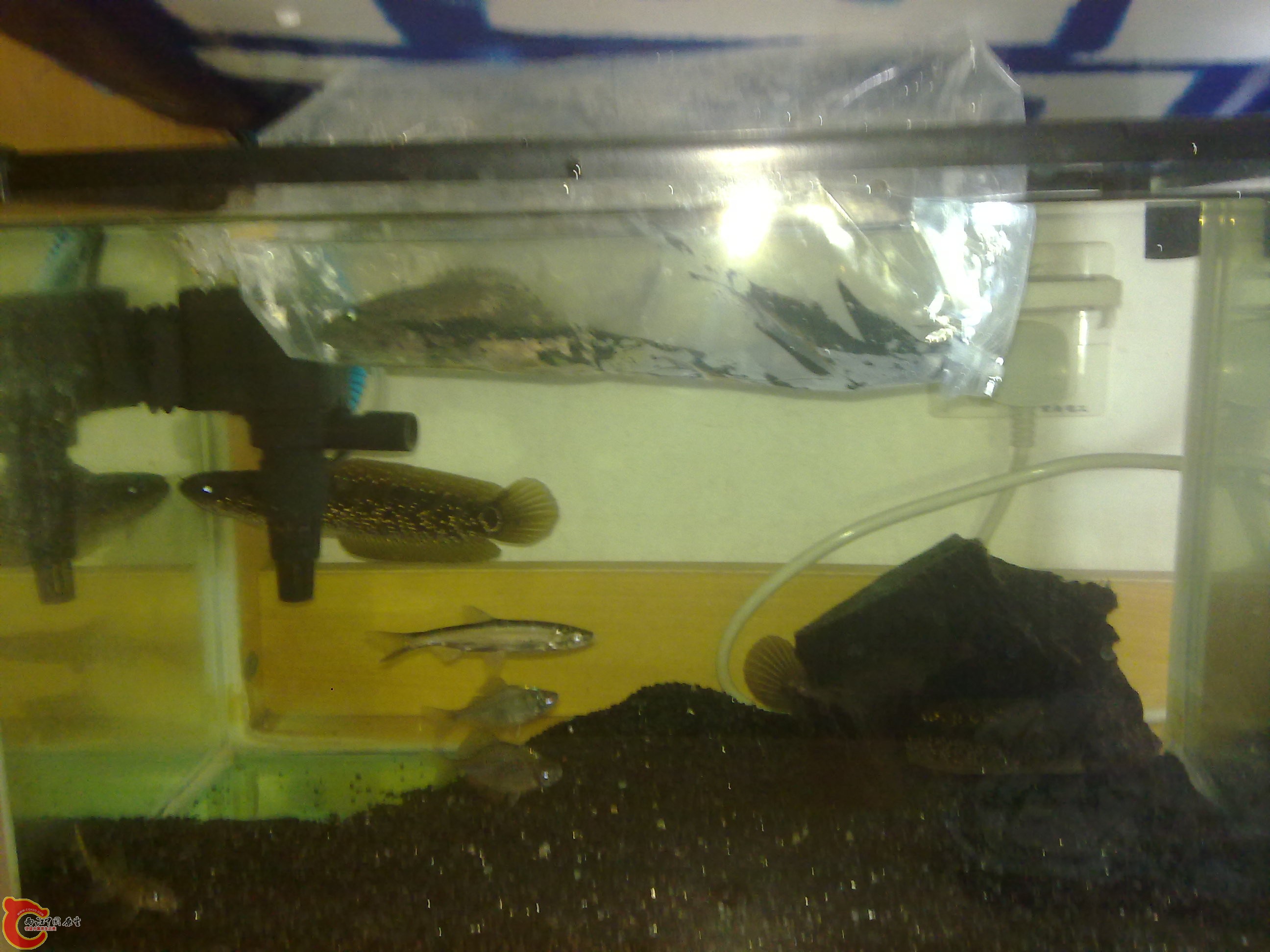 20111201193.jpg