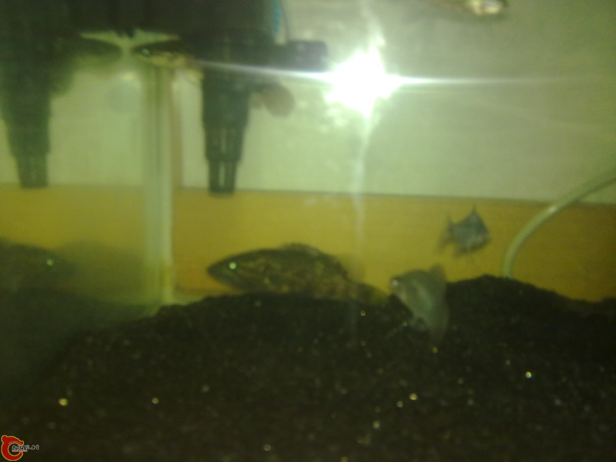 20111201197.jpg