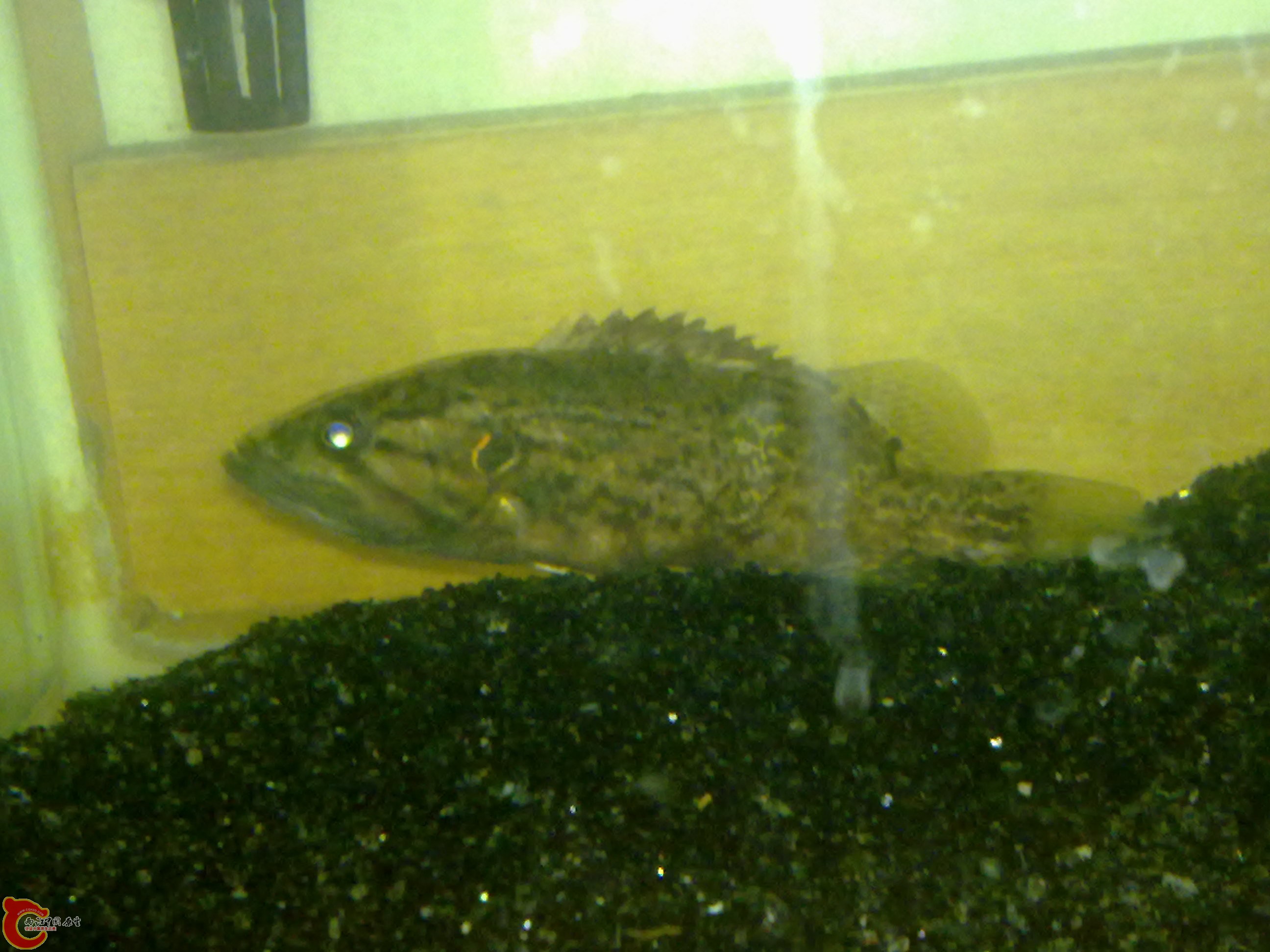 20111201200.jpg