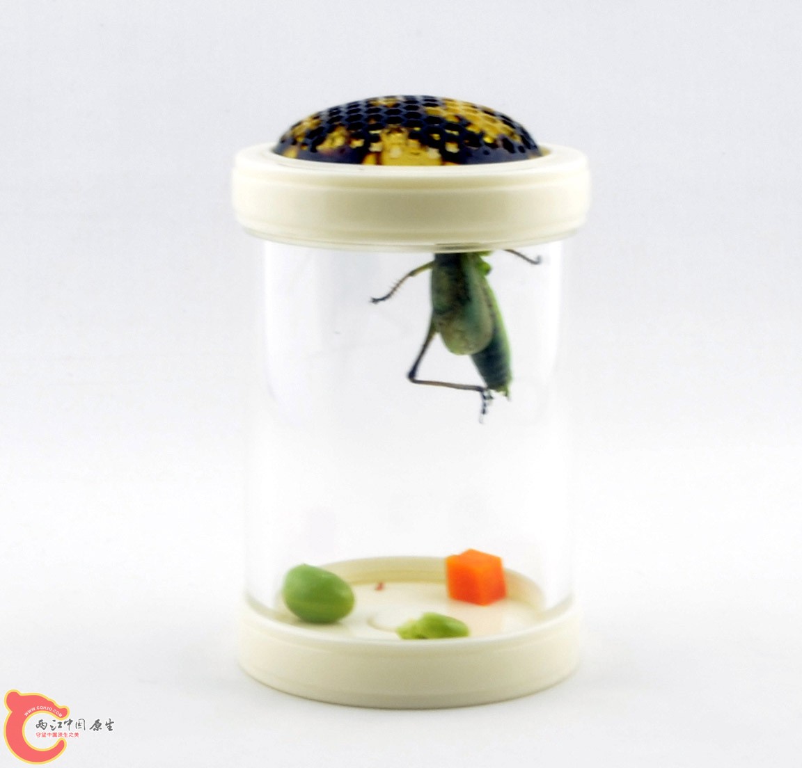 照片 039.jpg