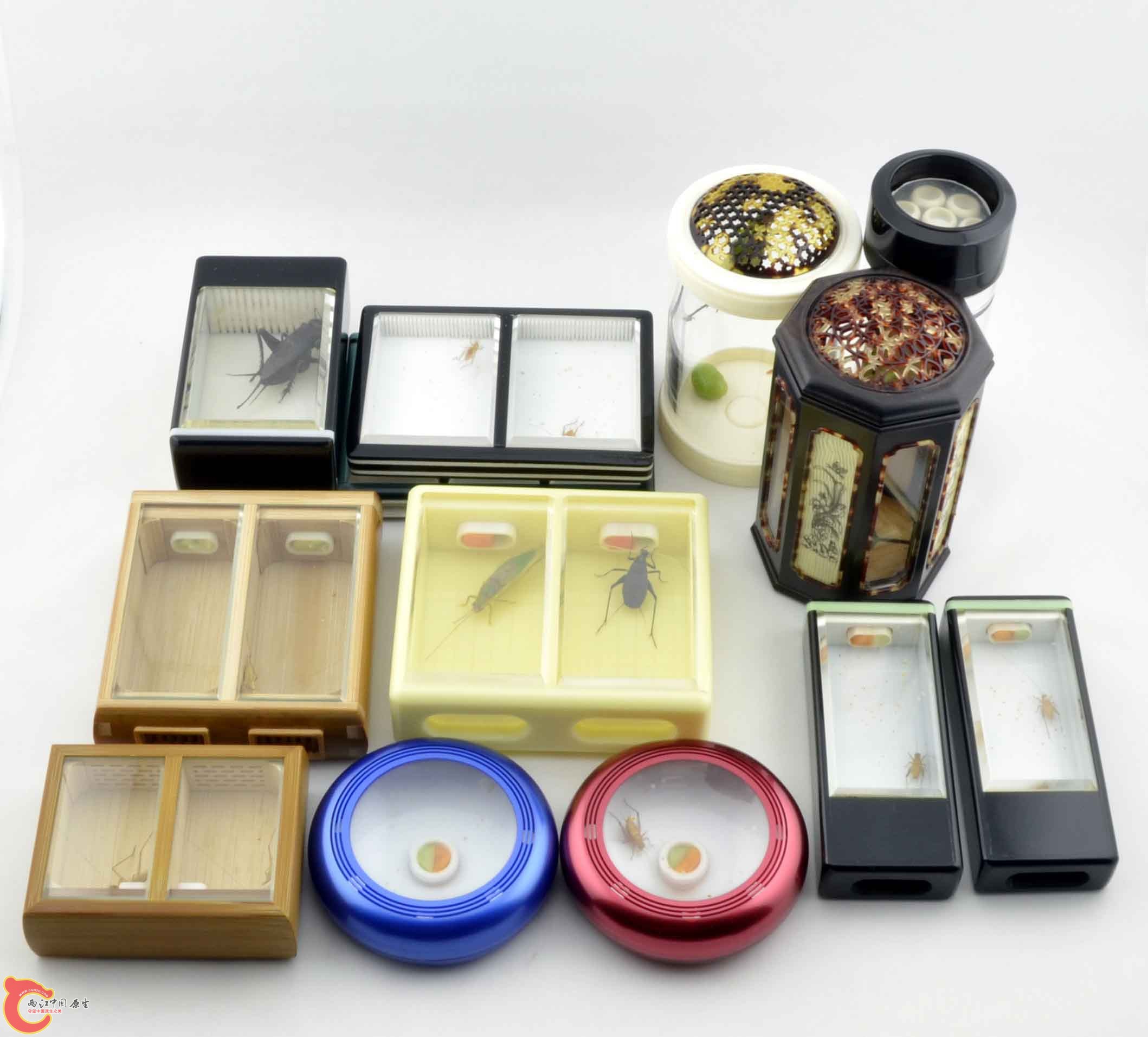 照片 020.jpg