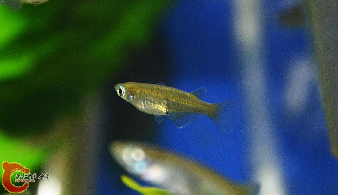 DSC_4983.JPG