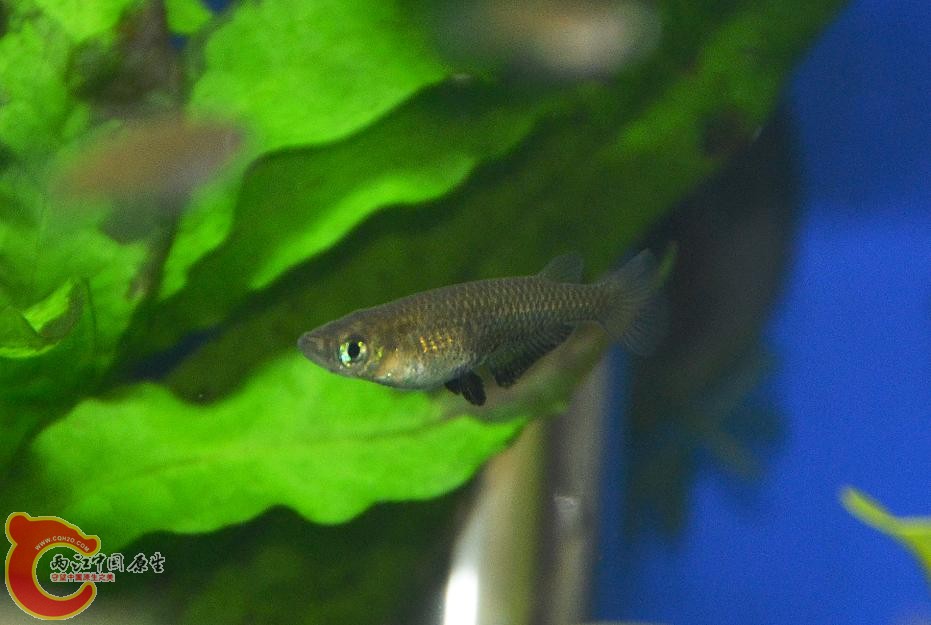 DSC_5011.JPG