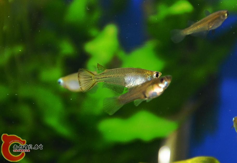 DSC_4974.JPG