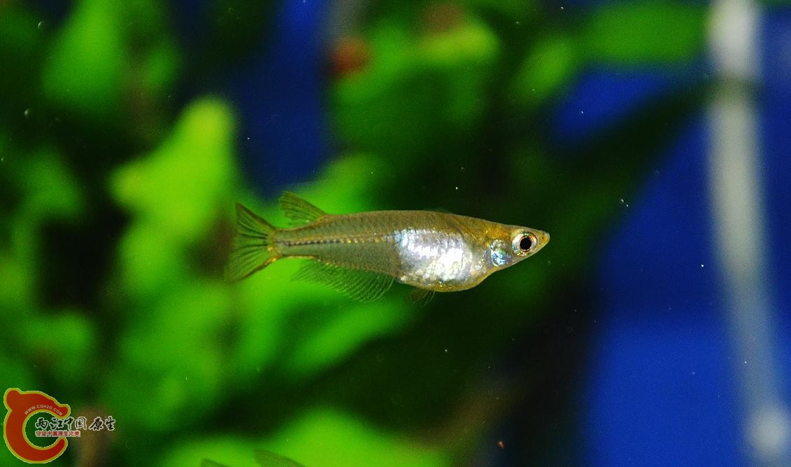 DSC_4978.JPG
