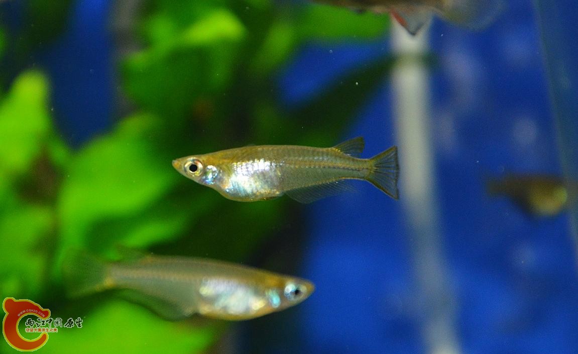 DSC_5002.JPG