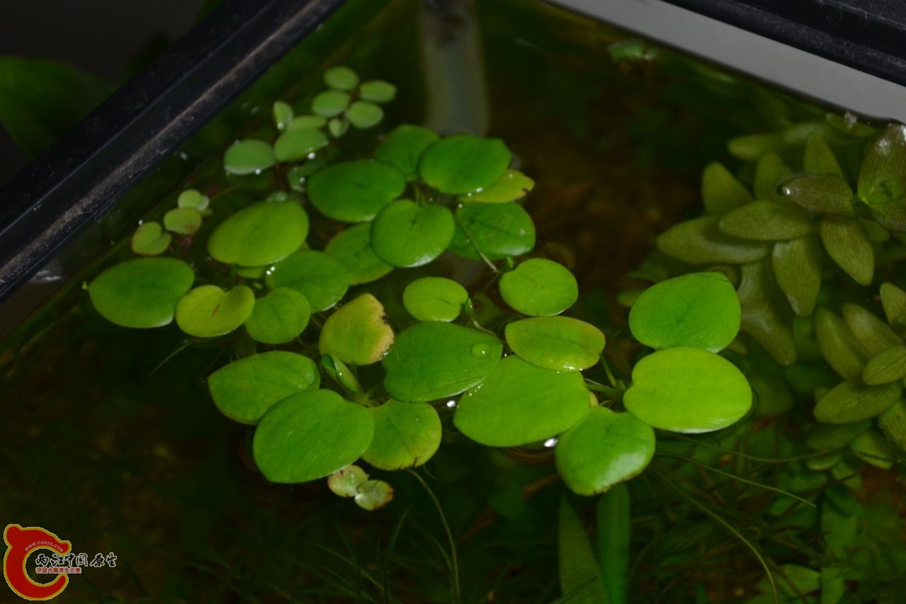 20111107-1326.JPG
