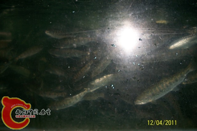 100_6250.JPG