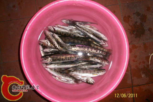 100_6256.JPG