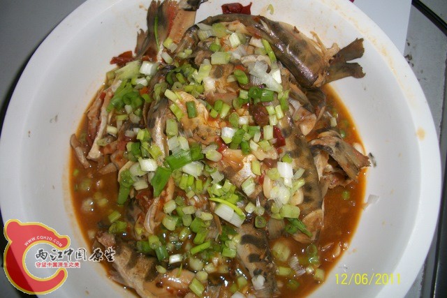 100_6258.JPG