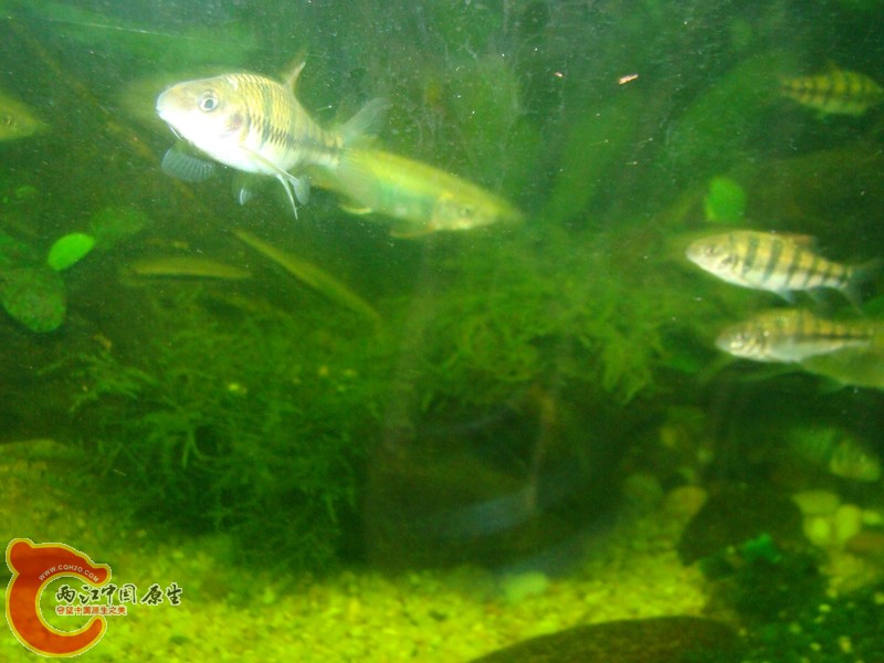 DSC05640.jpg