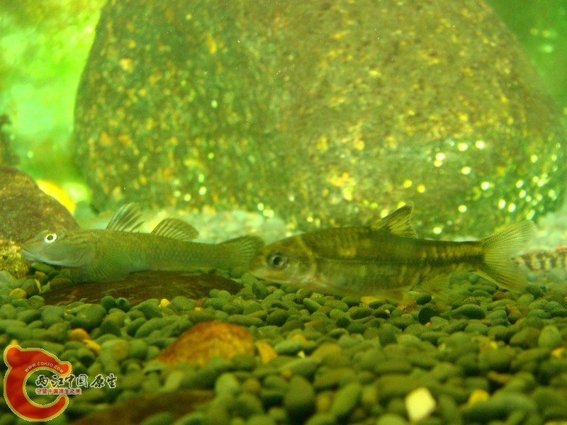 DSC05659.jpg