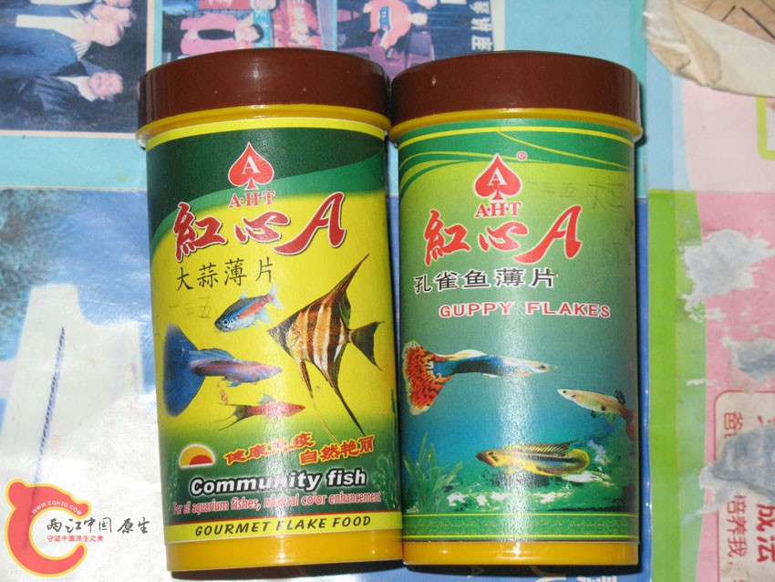 干粮