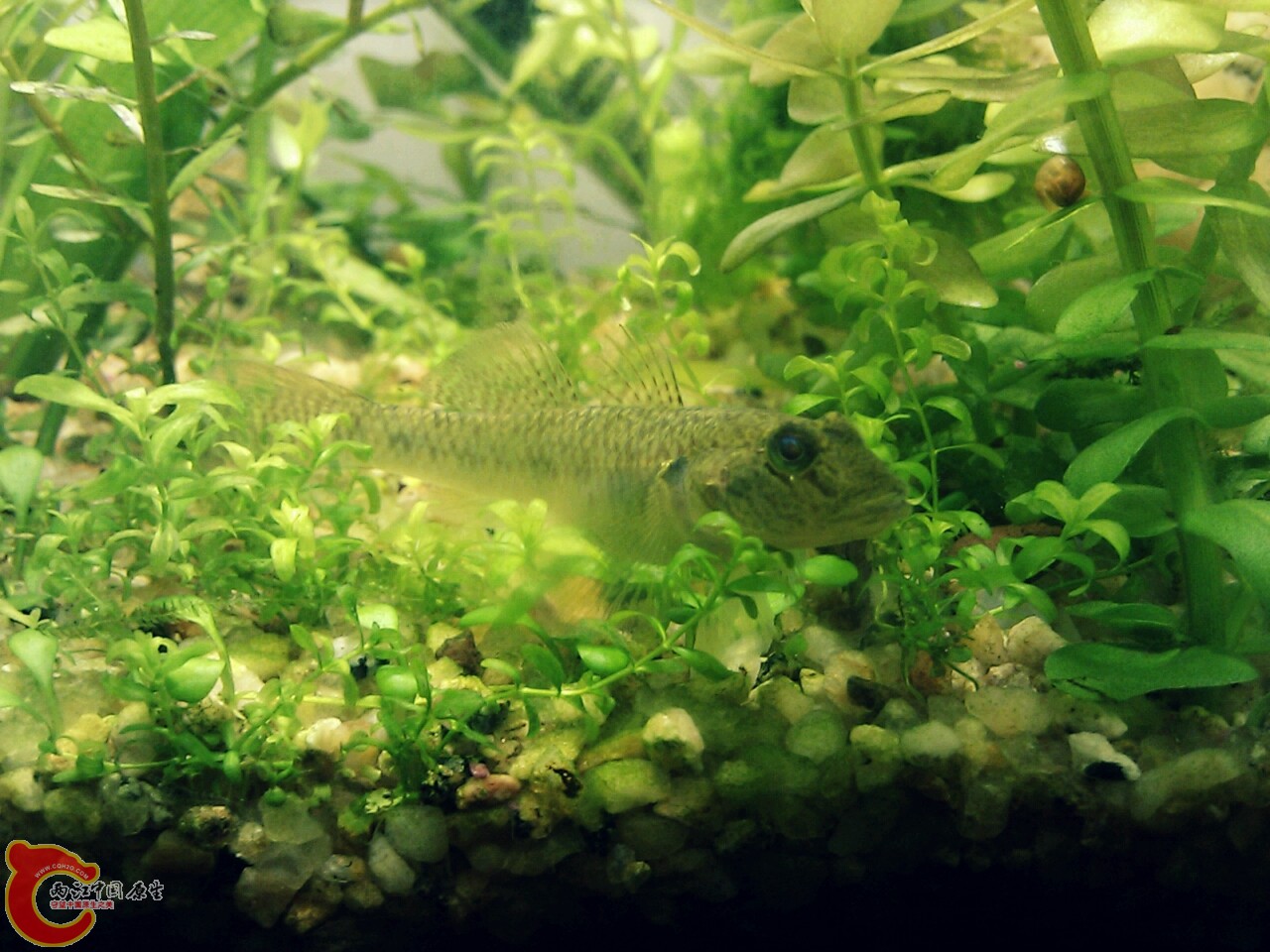 20111207115346.jpg