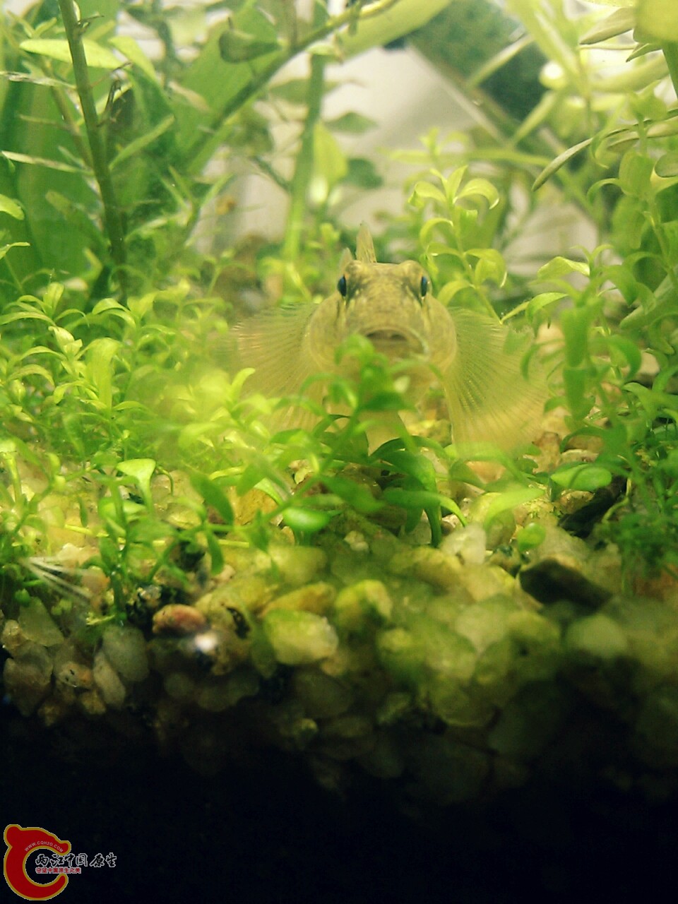 20111207192823.jpg