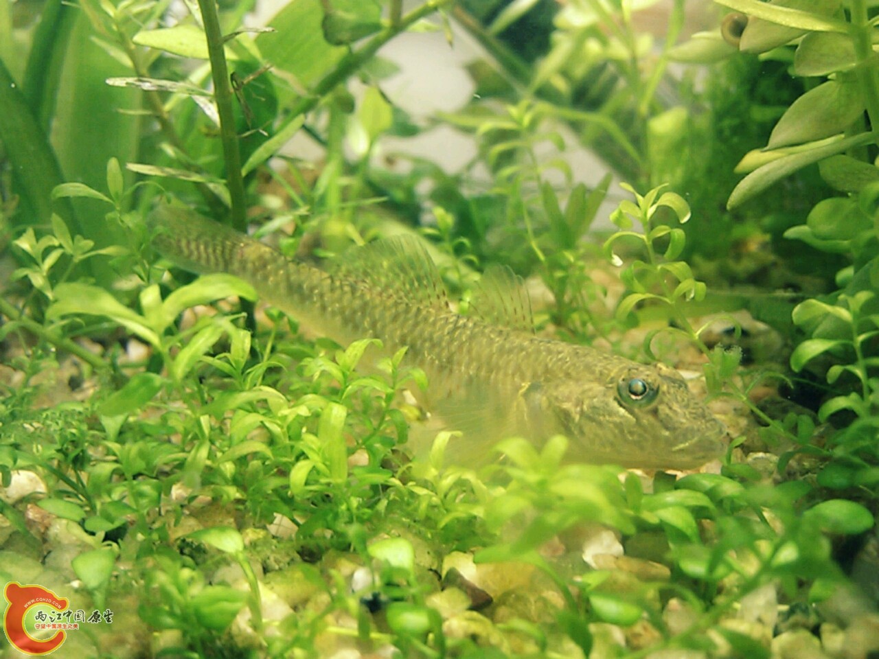 20111207193340.jpg
