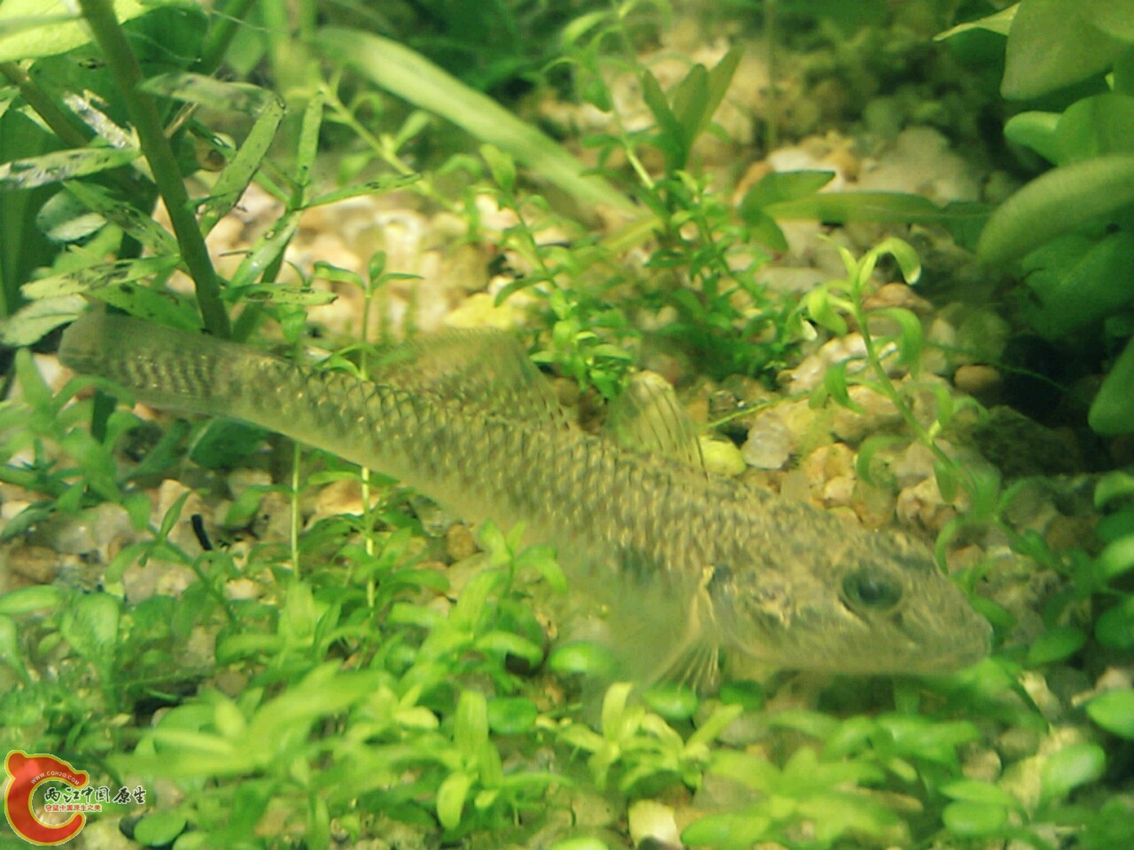 20111207193355.jpg