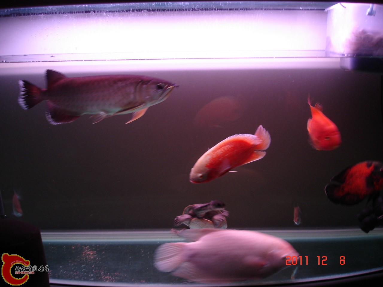 DSC02781.JPG