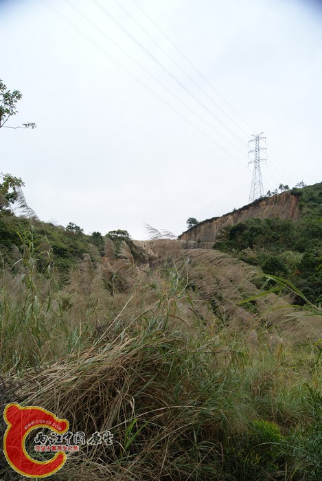 03.jpg