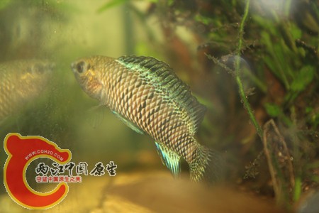 照片 458_副本.jpg