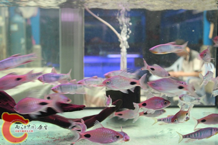 照片 206_副本.jpg