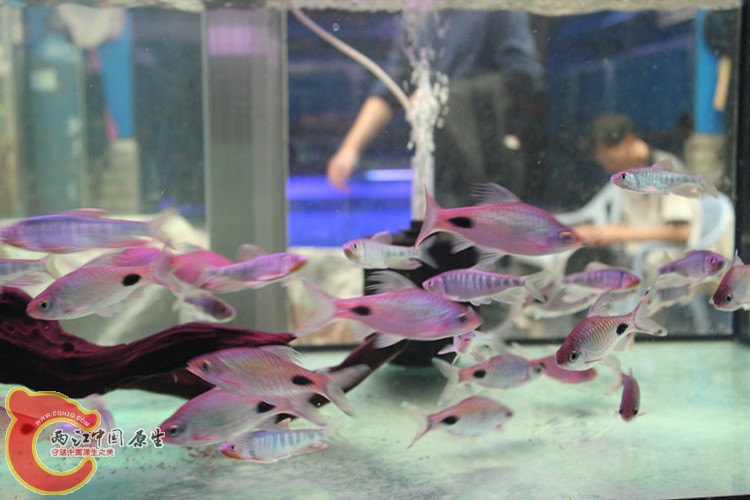 照片 207_副本.jpg