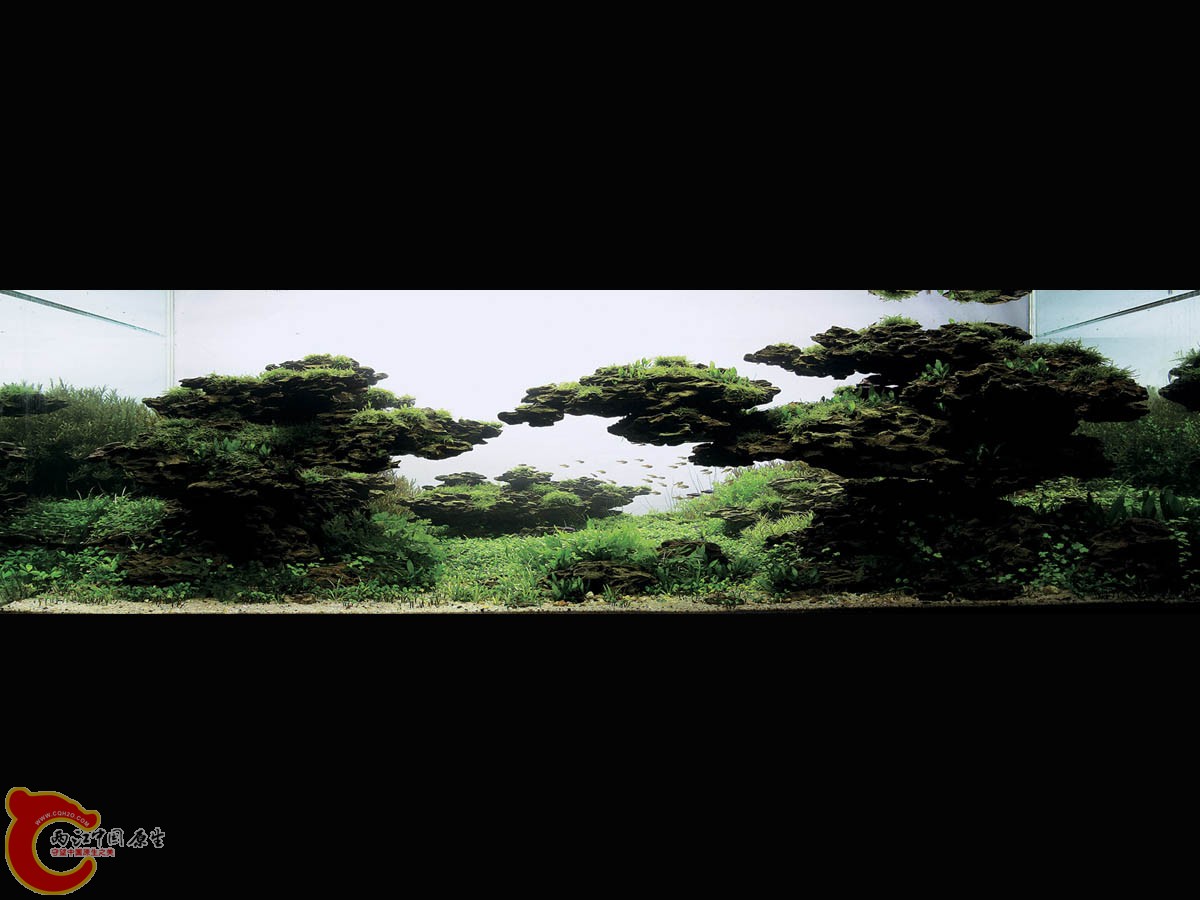 ADA2011-0001#-1  (1).jpg