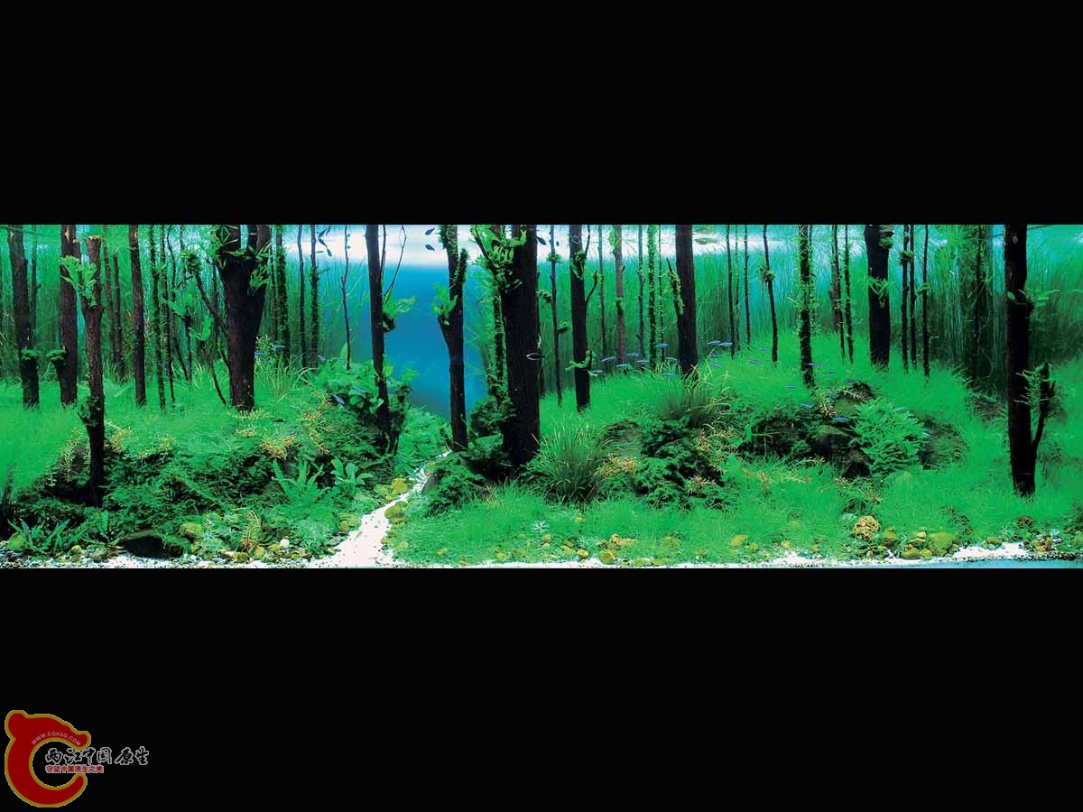 ADA2011-0001#-1  (2).jpg