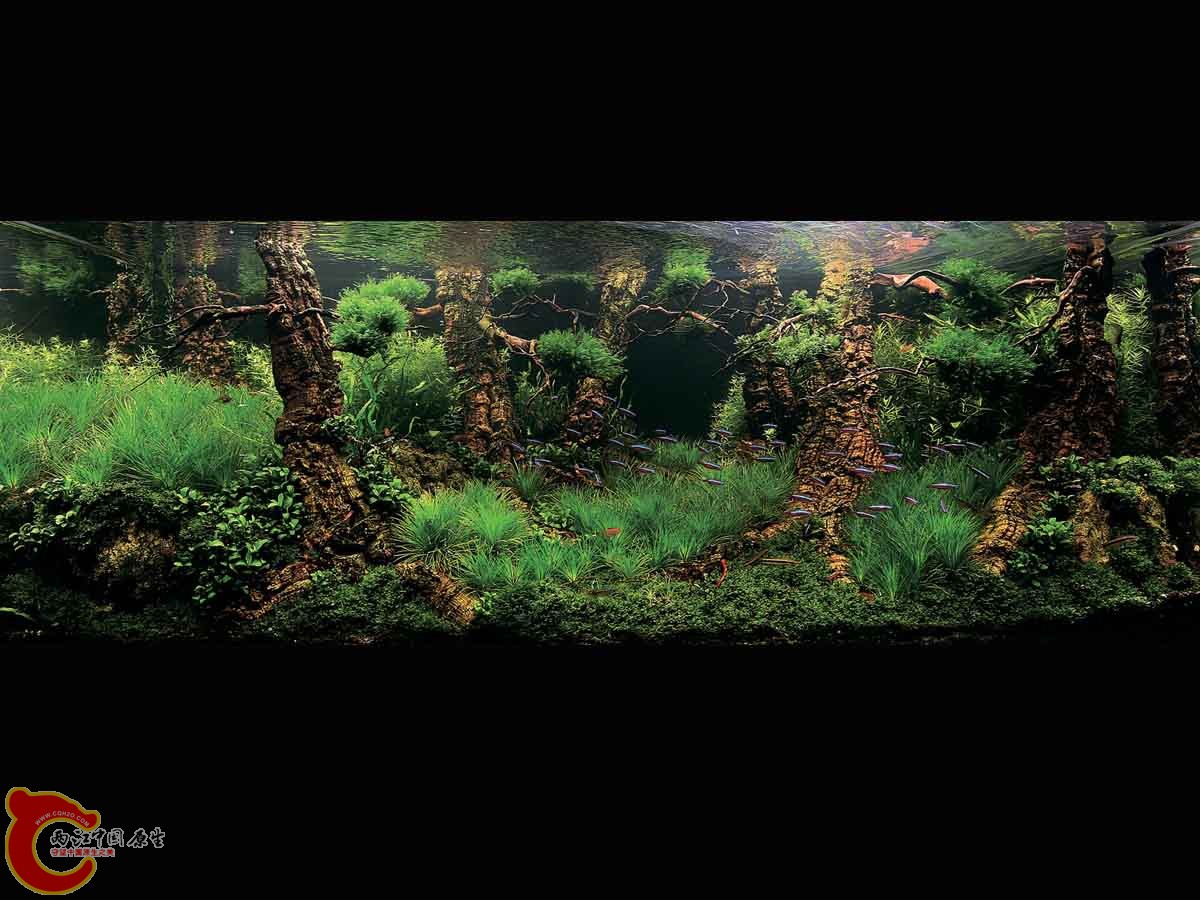 ADA2011-0001#-1  (3).jpg