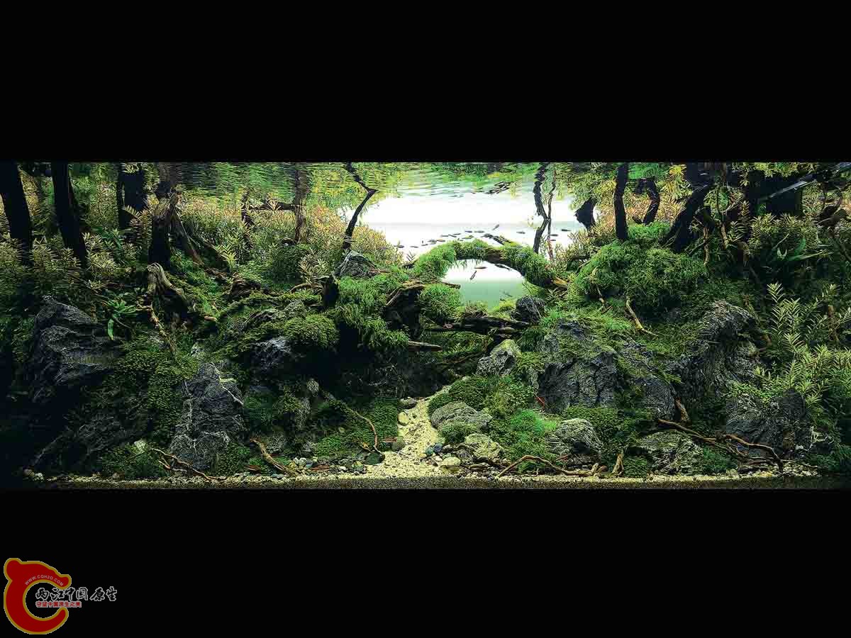 ADA2011-0001#-1  (4).jpg