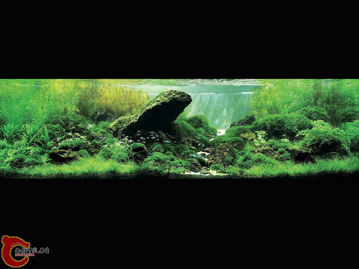 ADA2011-0001#-1  (5).jpg