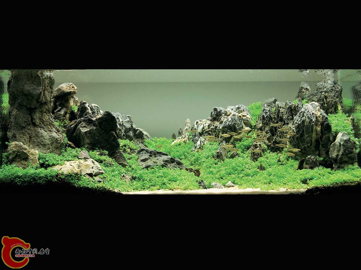 ADA2011-0001#-1  (8).jpg