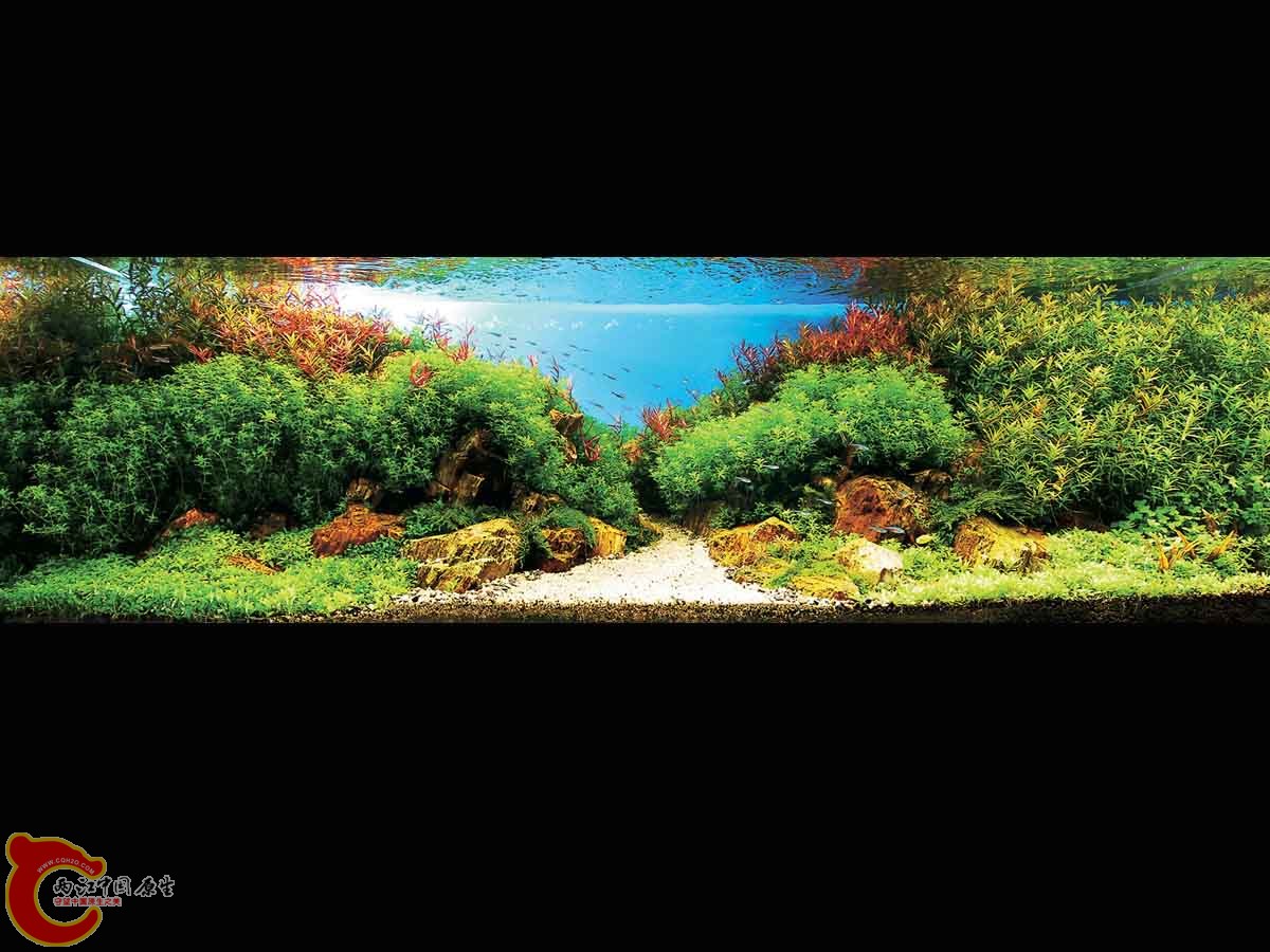 ADA2011-0001#-1  (9).jpg